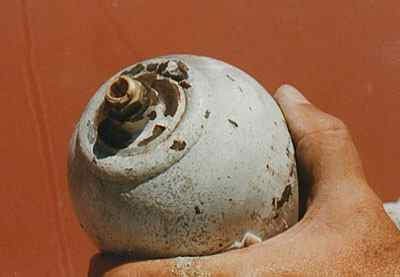 billc_M1995_8.jpg