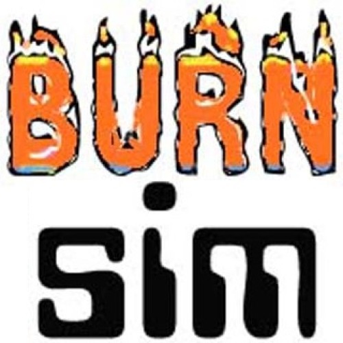 BurnSim